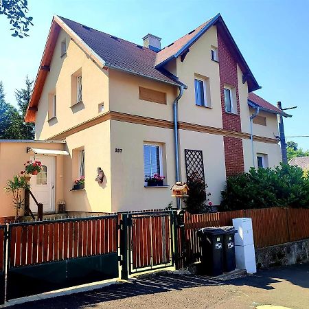 Ubytovani U Rybnicka Villa Arnoltice u Decina Exterior photo