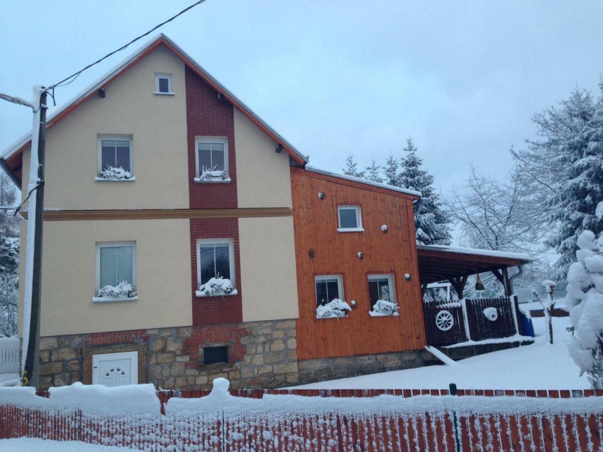 Ubytovani U Rybnicka Villa Arnoltice u Decina Exterior photo